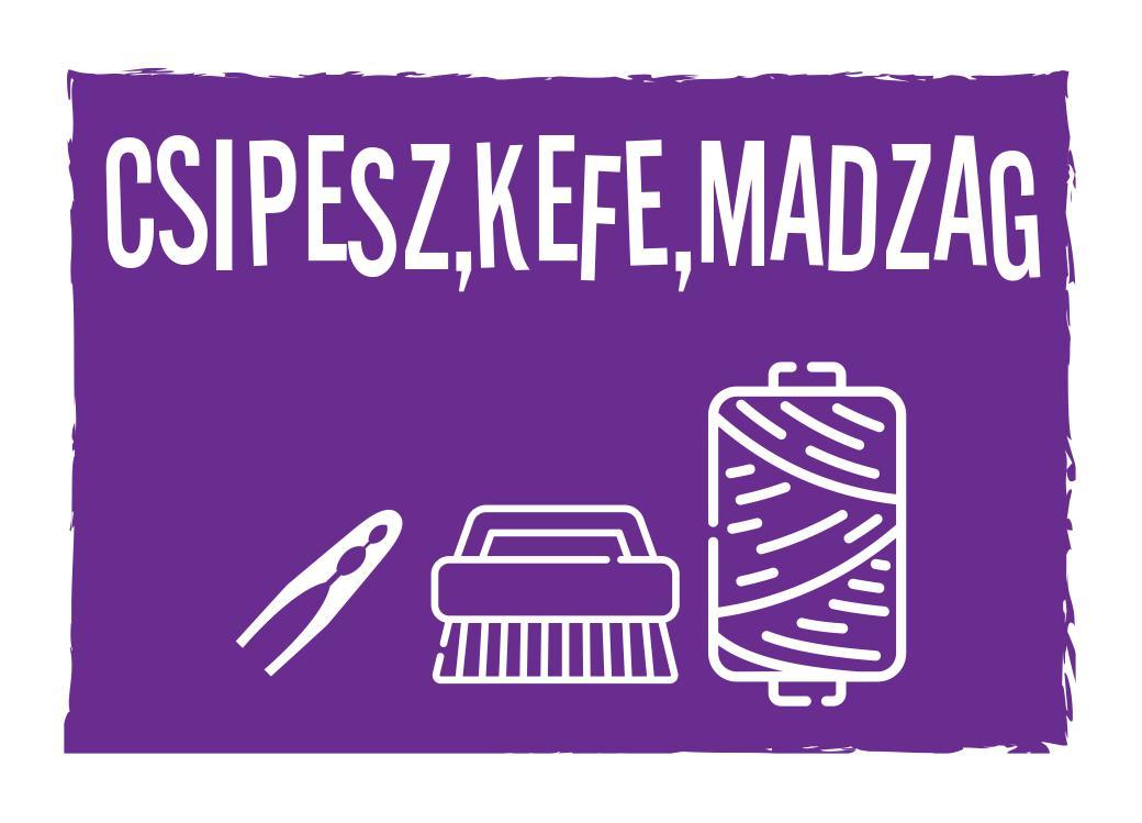 Csipesz, kefe, madzag